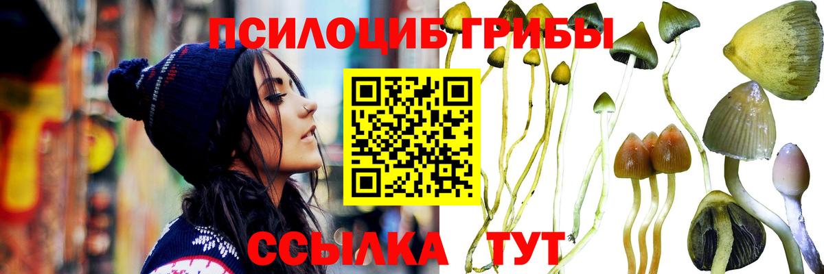 Галлюциногенные грибы мицелий  Вход с VPN  Псилоцибиновые грибы Magic Shrooms  Вольск 